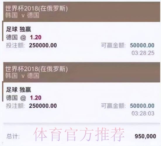 全面解析世界杯投注平台选择与使用技巧